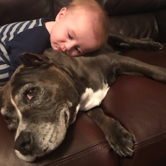 Thanks for stopping by! Bundle for big savings! - Picture 3 of 4